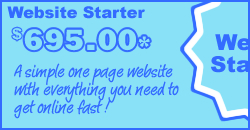 Website Starter Package $695.00