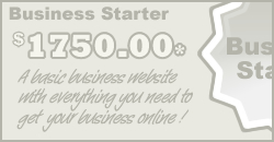 Business Starter Package $1895.00
